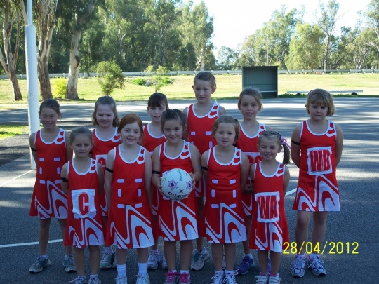 netball 2012 002